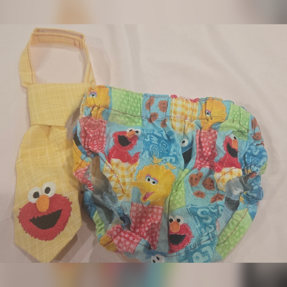 Colorful Sesame Street Kids Tie and Diaper Cover Set.. son wore once for a photo